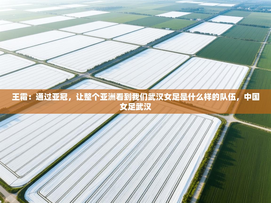 问鼎体育app-王霜：通过亚冠，让整个亚洲看到我们武汉女足是什么样的队伍，中国女足武汉  第4张