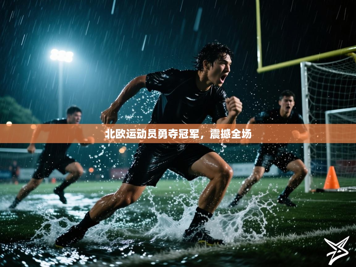 问鼎娱乐app下载官网-北欧运动员勇夺冠军,震撼全场 第4张