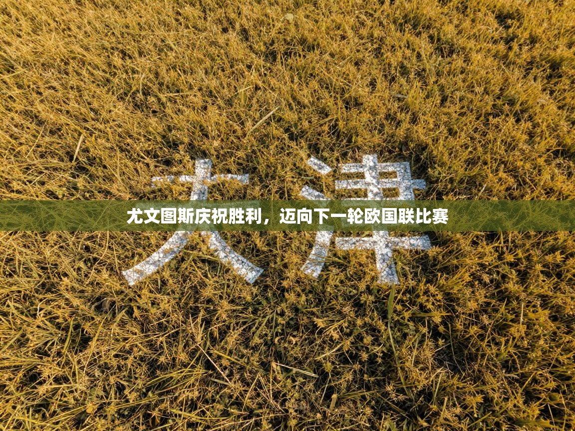 问鼎娱乐pg-尤文图斯庆祝胜利,迈向下一轮欧国联比赛 第3张