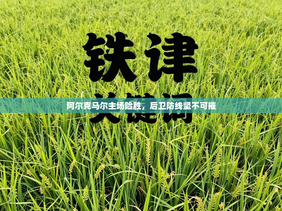 问鼎娱乐-阿尔克马尔主场险胜,后卫防线坚不可摧 第1张