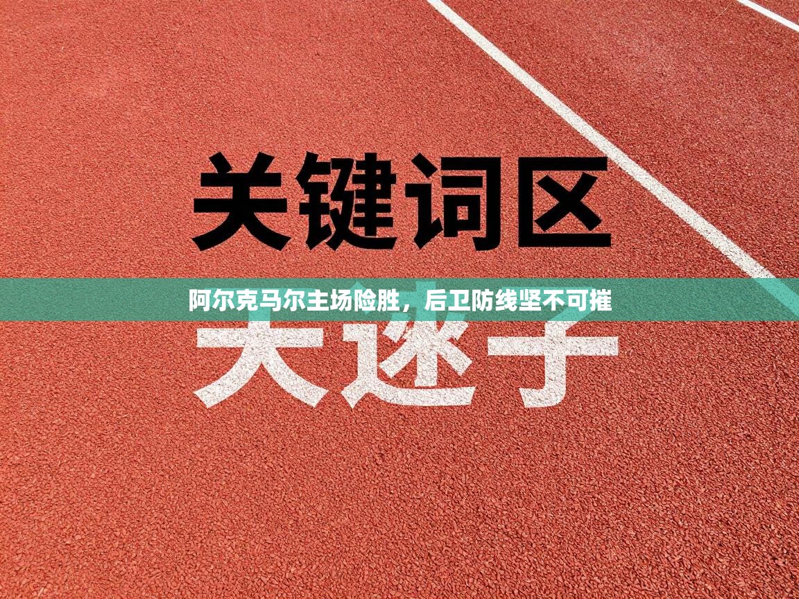 问鼎娱乐-阿尔克马尔主场险胜,后卫防线坚不可摧 第4张