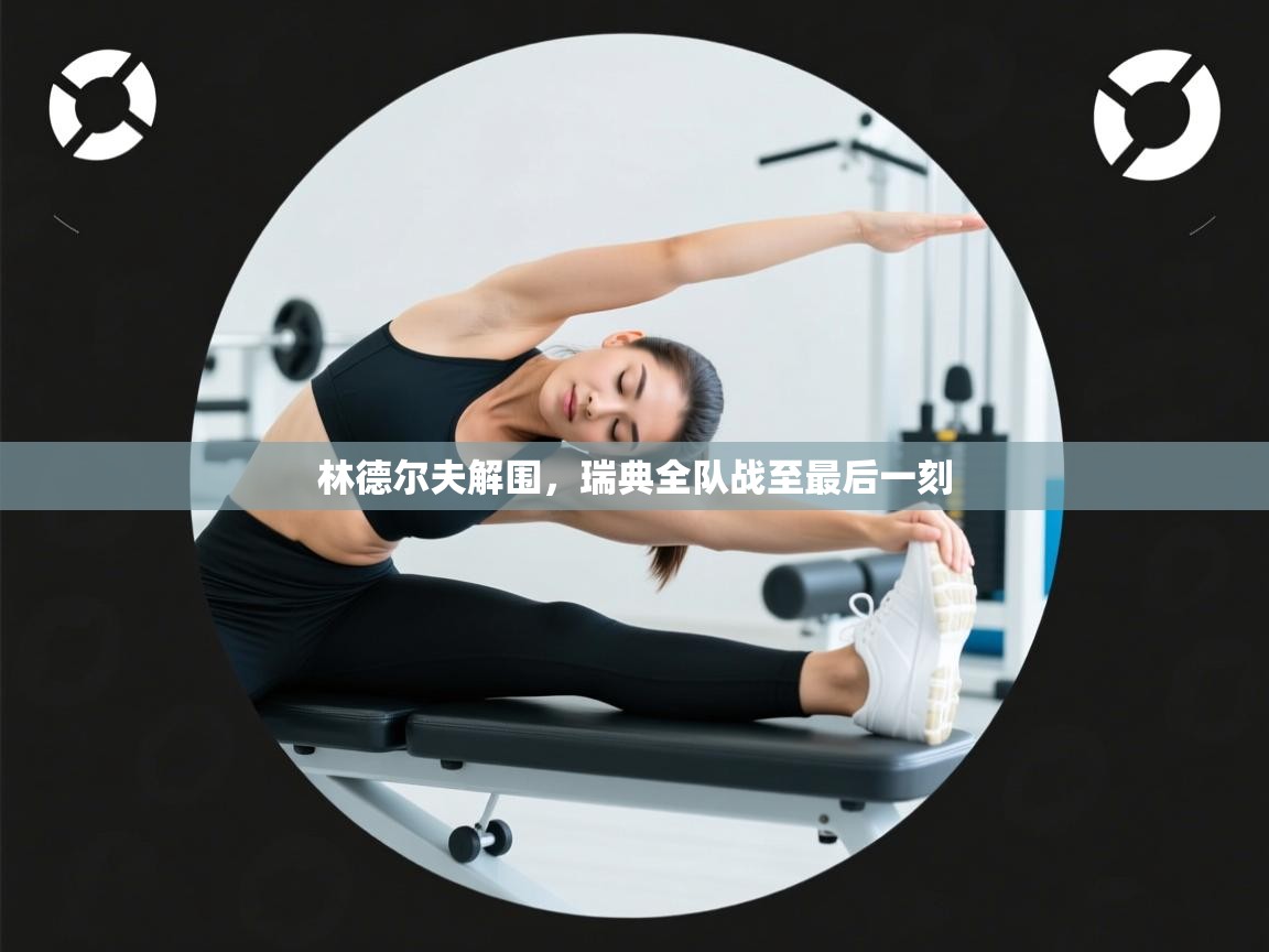 -林德尔夫解围，瑞典全队战至最后一刻  第4张