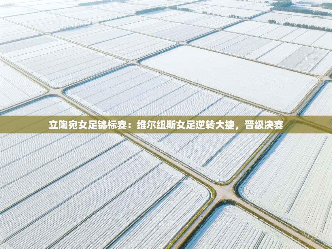 问鼎娱乐pg电子-立陶宛女足锦标赛：维尔纽斯女足逆转大捷，晋级决赛  第1张