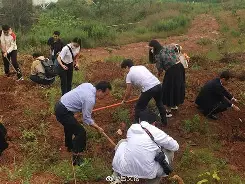 德赢体育官网-包含意甲主席明确联赛改革方向，引发关注舆论的词条